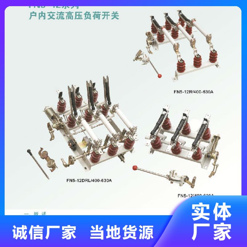 【羿振电力设备】高压负荷开关FN12A-10RD/125-31.5