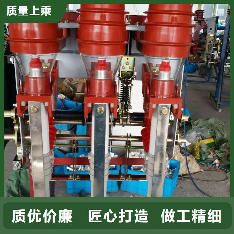 高壓負荷開關FZRN21-12D/125-31.5-上海羿振電力設備有限公司