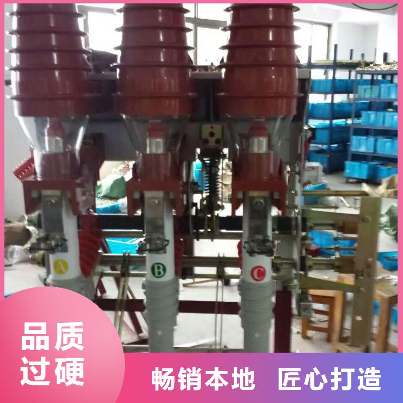 高壓負荷開關FZRN21-12D/125-31.5-上海羿振電力設備有限公司