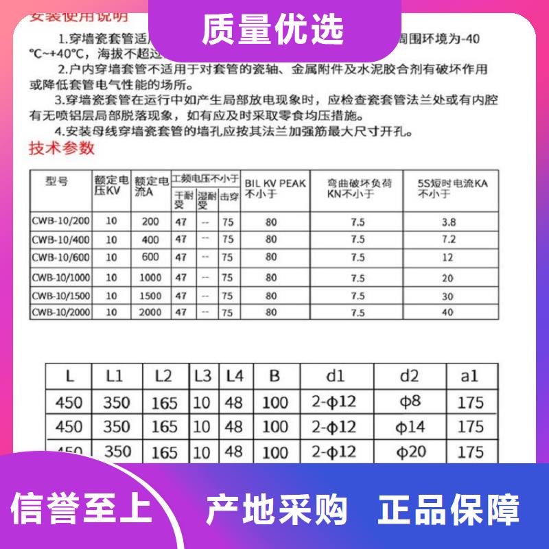 【穿墙套管】CWL-35KV/400