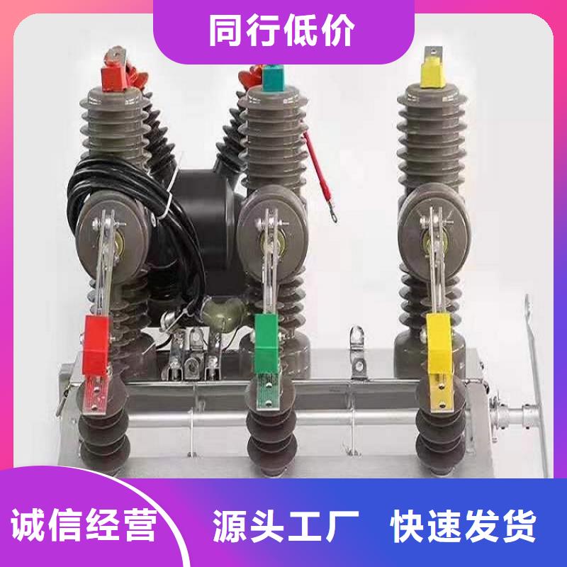 户外真空断路器ZW32-12/630-20
