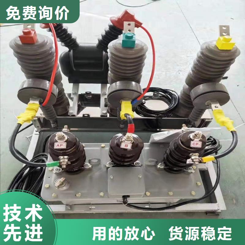 【真空断路器】永磁真空断路器ZW32-12/M630A
