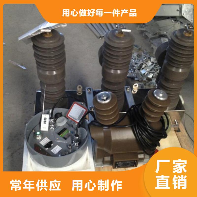品牌【羿振电力】永磁真空断路器ZW32M-12G/630-25