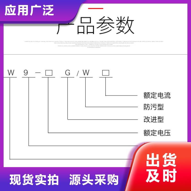 10KV單級隔離開關HGW9-10W/200A