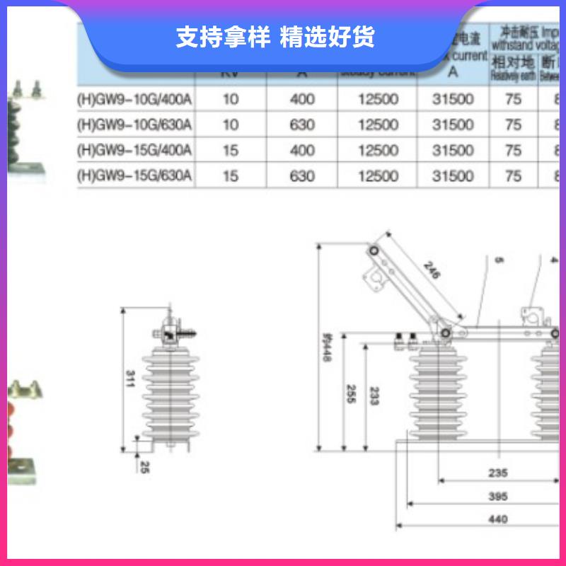 10KV单级隔离开关HGW9-10/630