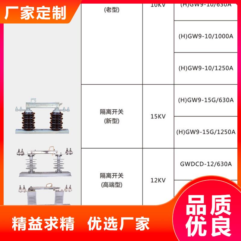 品牌：【羿振电气】HGW9-24W/1250A高压隔离开关生产厂家