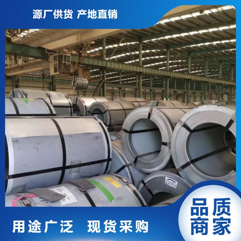 宝钢矽钢片定制B50A1000