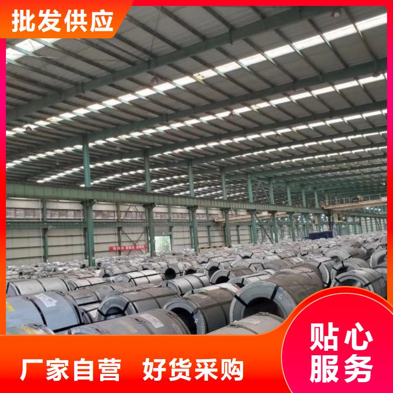 自粘涂层硅钢带B50A800-Z