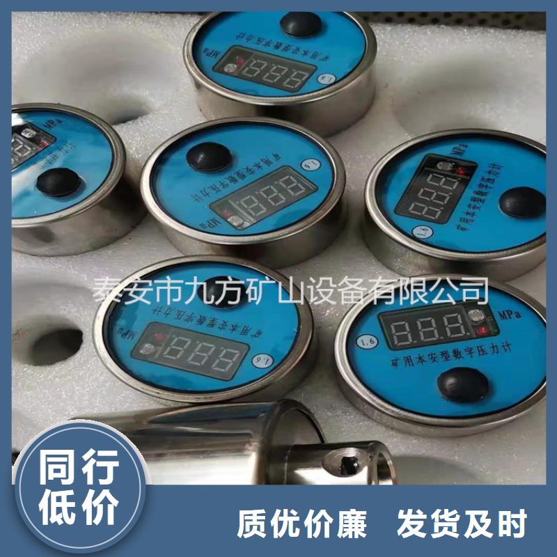 漳县YHY60综采支架数字压力计