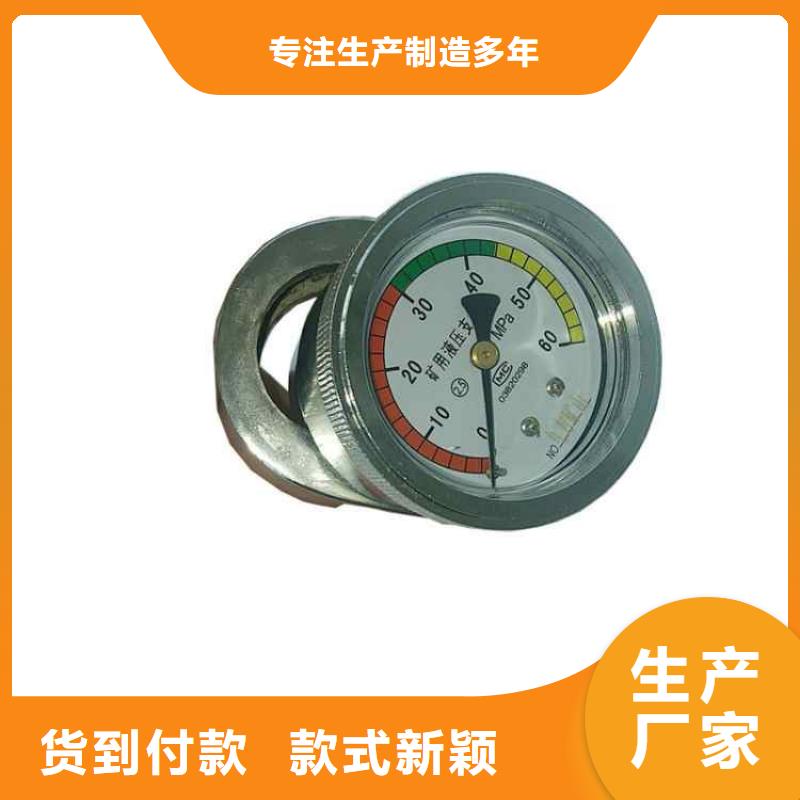 單體支柱壓力表型號