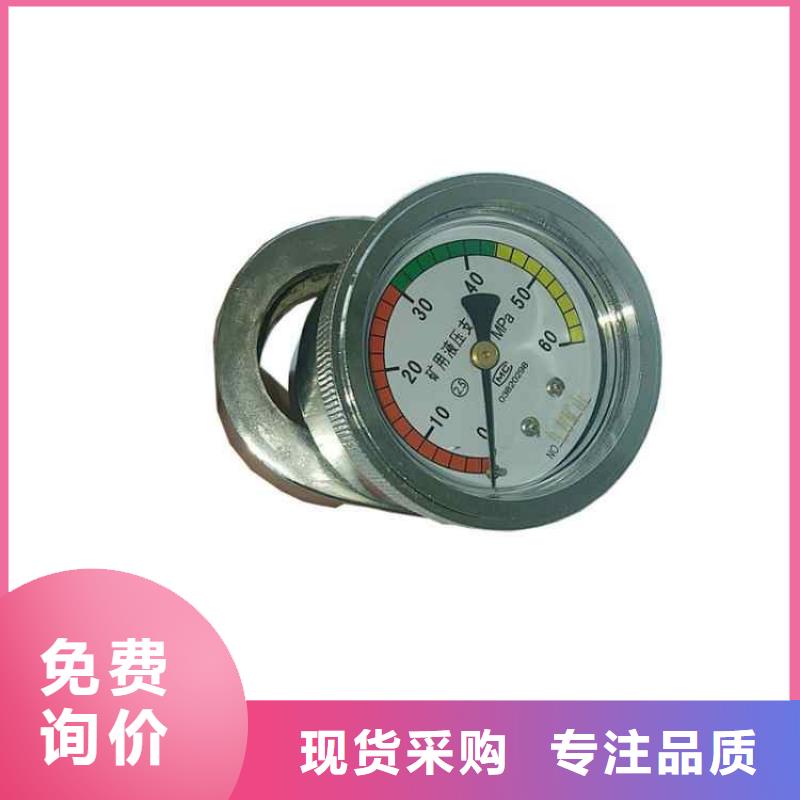 TCP-60单体支柱测压表