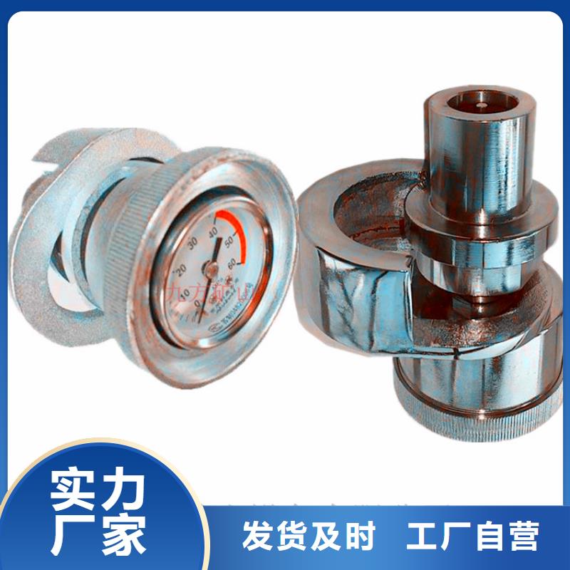 DZ-60单体支柱测压仪