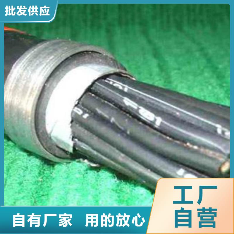 ZR-DJFVP26X1耐高温电缆结构外径_量大从优