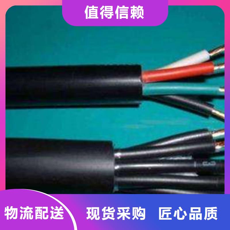 特种电缆-【屏蔽电缆】工厂批发电缆矿用电缆