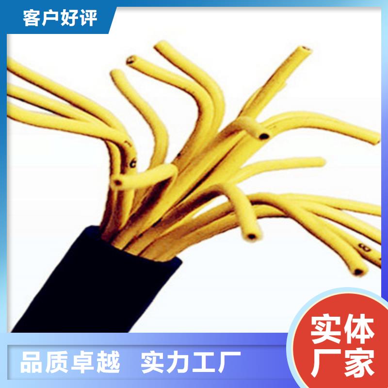 定做RVSVP326X0.5铠装可定制的经销商