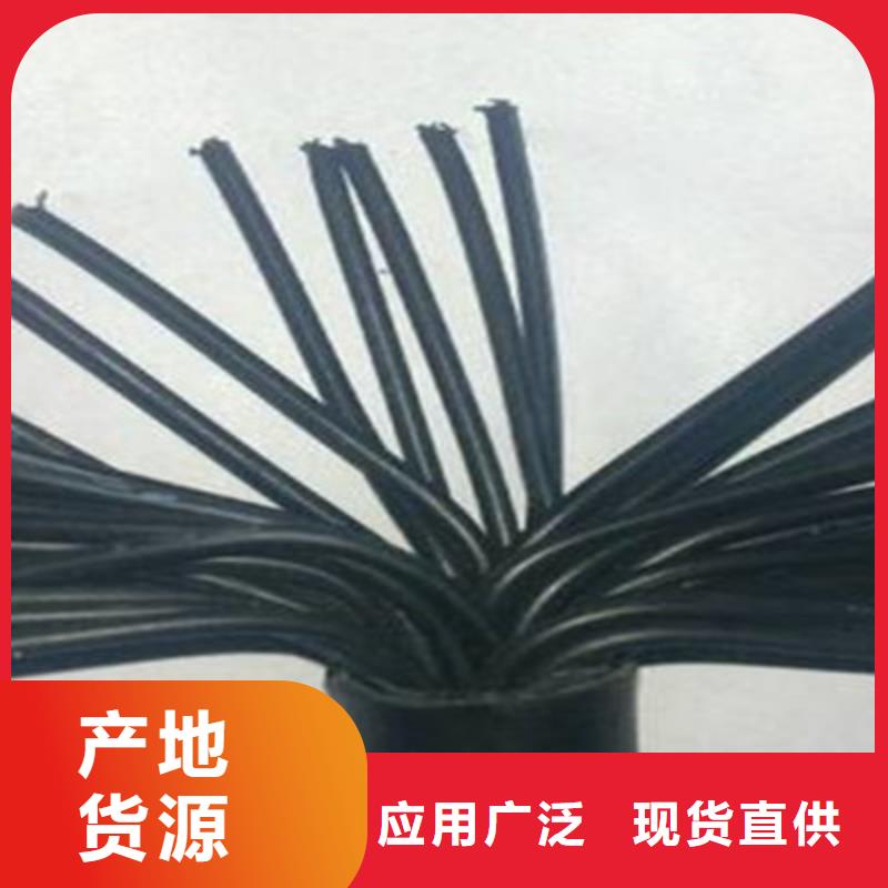 优选阻燃控制电缆