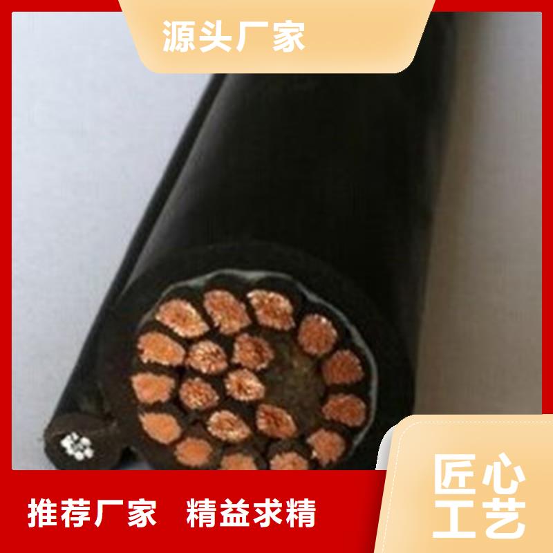 软芯屏蔽电缆TC-2实力厂家生产