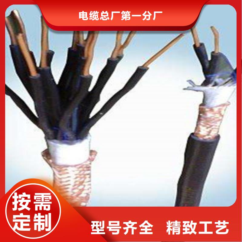 HCTEVS2X0.5兩芯對(duì)絞電纜實(shí)體廠家成本低