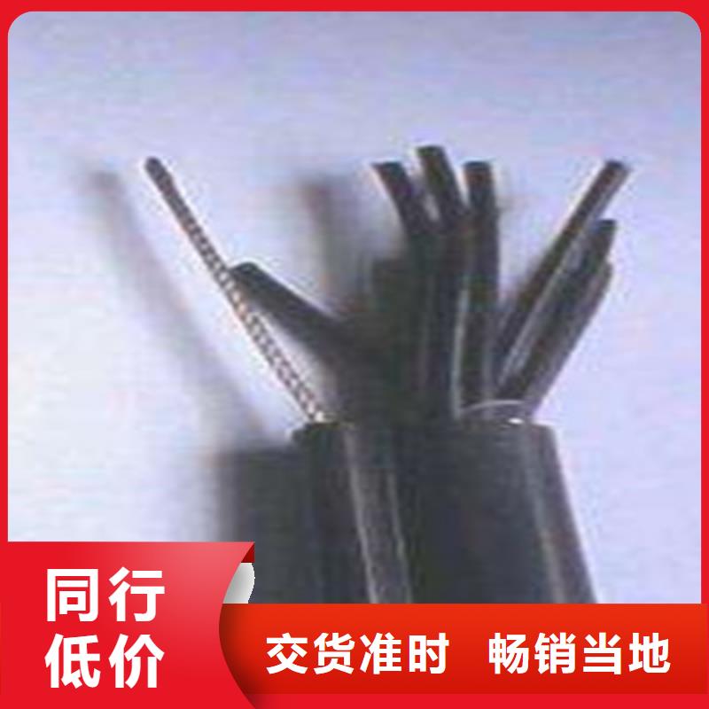 音频广播线价格质量为主