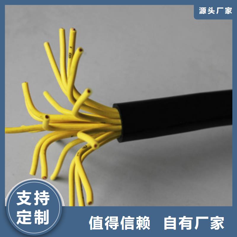 ：ZR-KVVRP22厂家