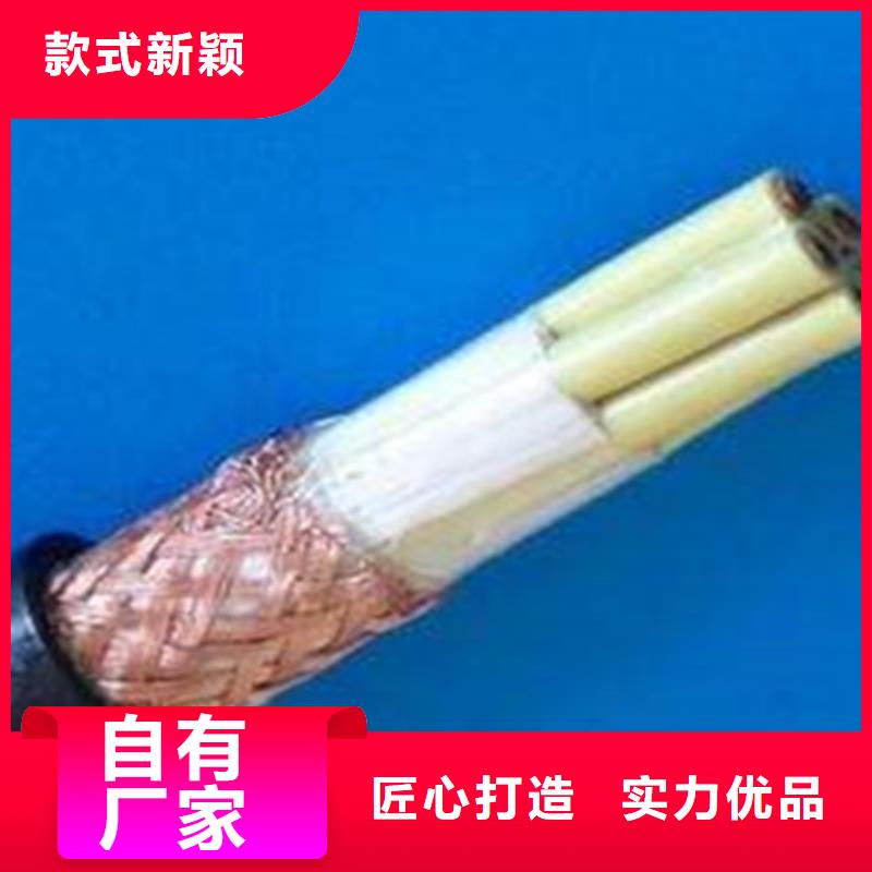 服务周到的天联牌60227IEC53RVV4X4电缆生产厂家