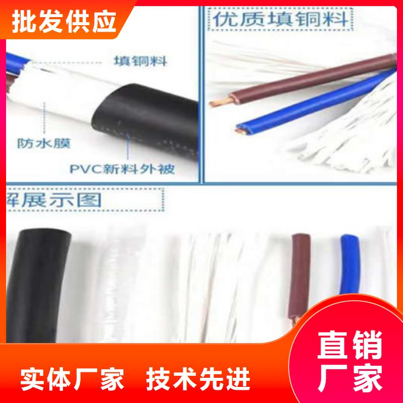 天聯牌ZR-KVVP221X50平方鎧裝電纜隊伍
