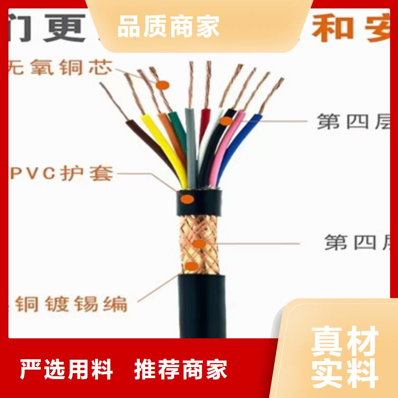 支持定制的厂家直销DJFP3FP计算机电缆批发商