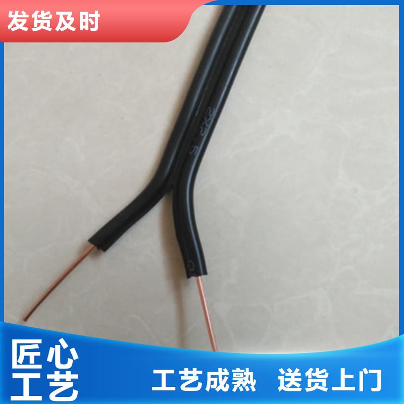 特种电缆-【屏蔽电缆】工厂批发-市场覆盖|凭祥|龙州|桂林|来宾|玉林|贵港|南宁-企业旺旺