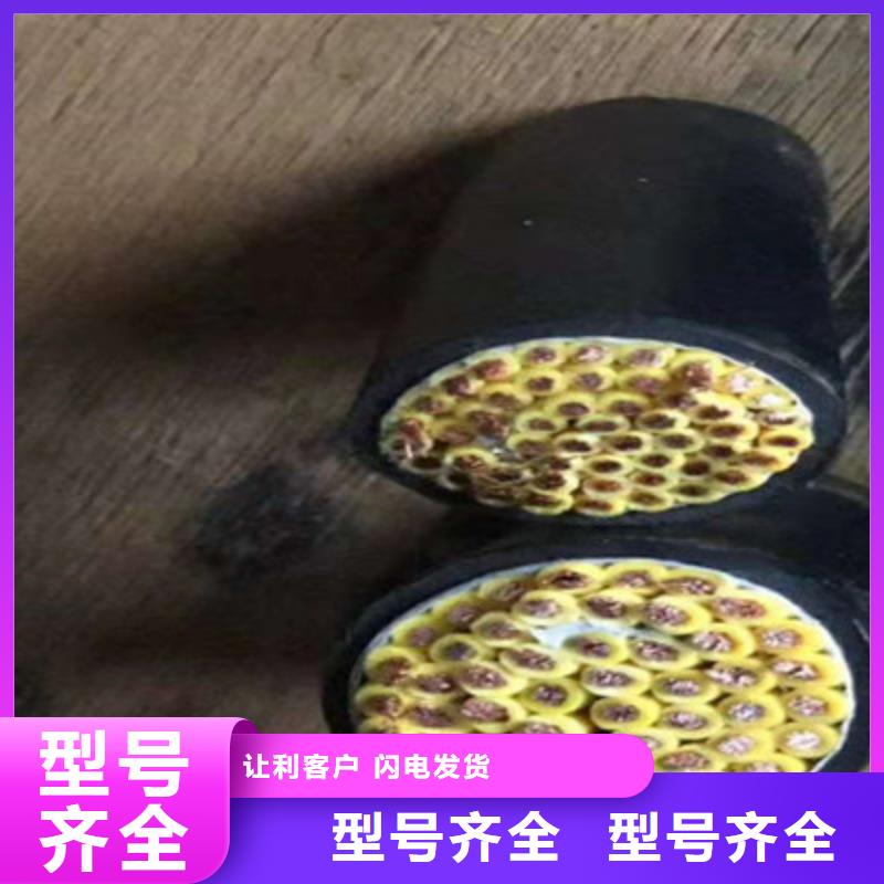 9X芯控制电缆（双钢丝）-9X芯控制电缆（双钢丝）大型厂家