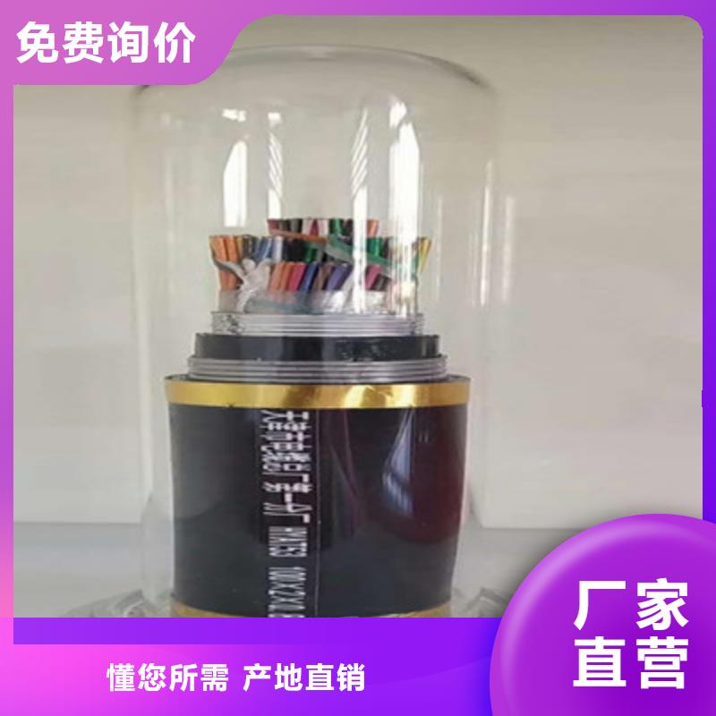 通信电缆阻燃电缆厂家匠心打造
