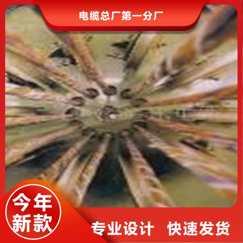 供应商【 通信电缆,信号电缆保障产品质量】