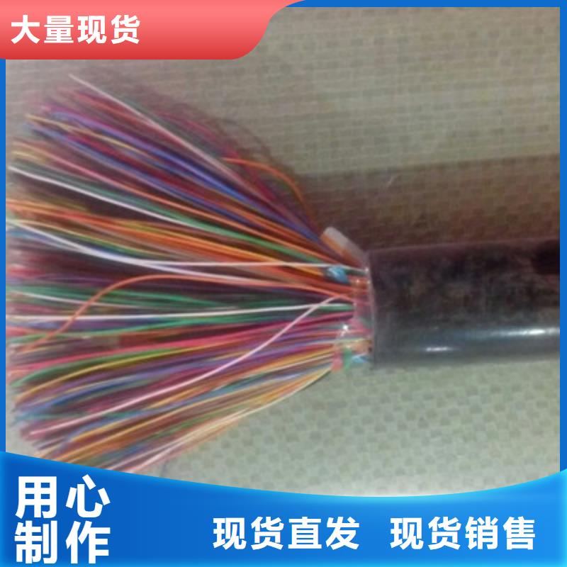 总线电缆3076F4对0.4