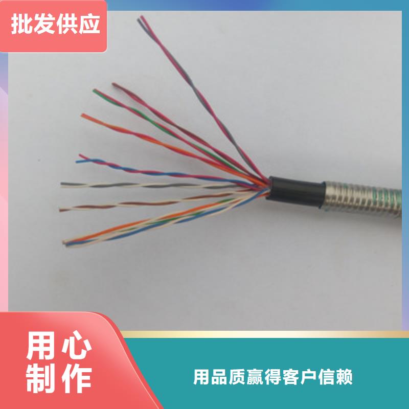 通信电缆,屏蔽电缆专业供货品质管控