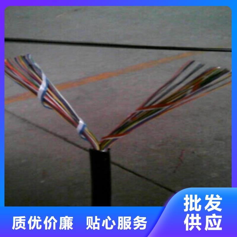 通信电缆屏蔽电缆支持货到付清
