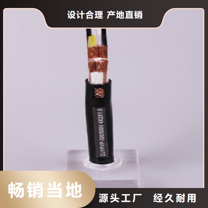 阻燃计算机电缆ZR-DJYPCV7X2X1.0
