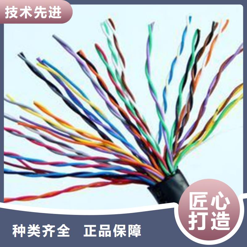 WDZ-DJYJP2V低烟无卤计算机电缆10X2X1.0