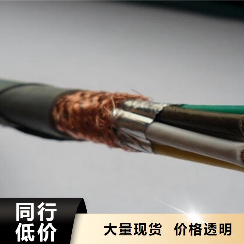 耐火計算機電纜NH-DJYPV223X2X1.0