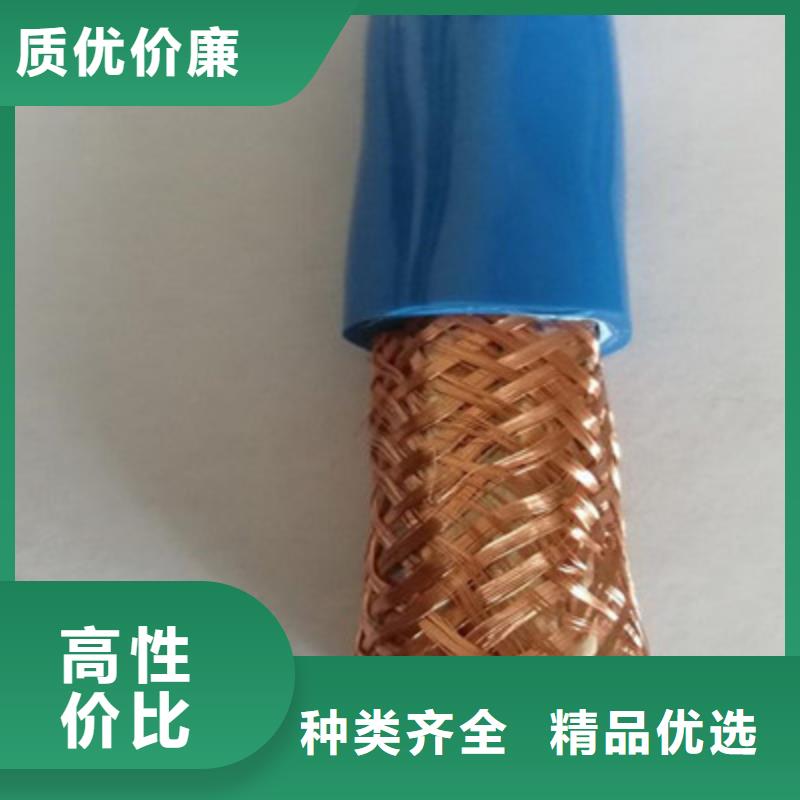 鎧裝計算機電纜DJYPCV-鎧裝計算機電纜DJYPCV保量