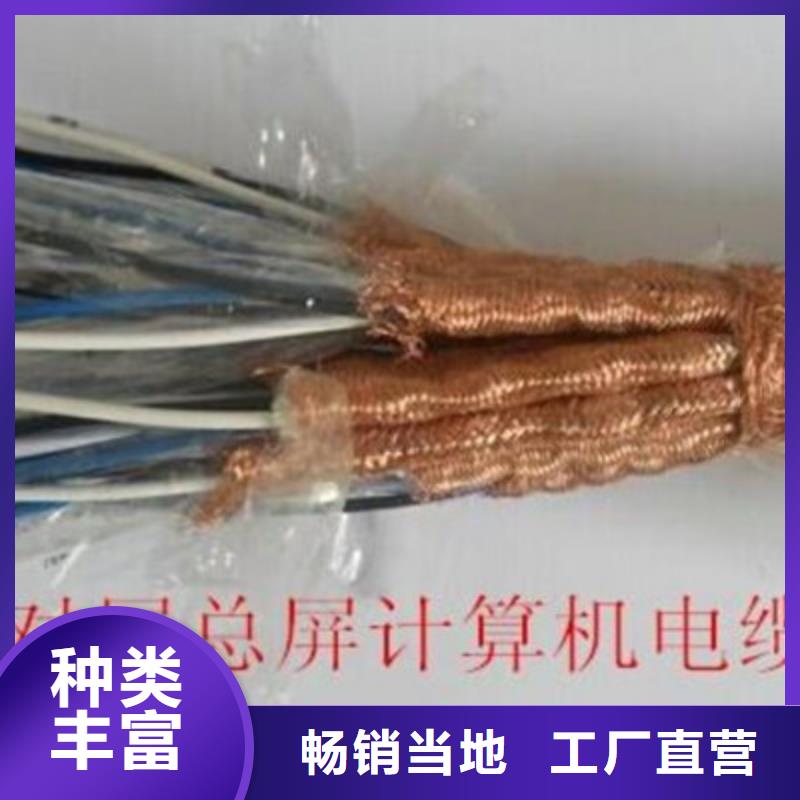 计算机电缆信号电缆认准大品牌厂家
