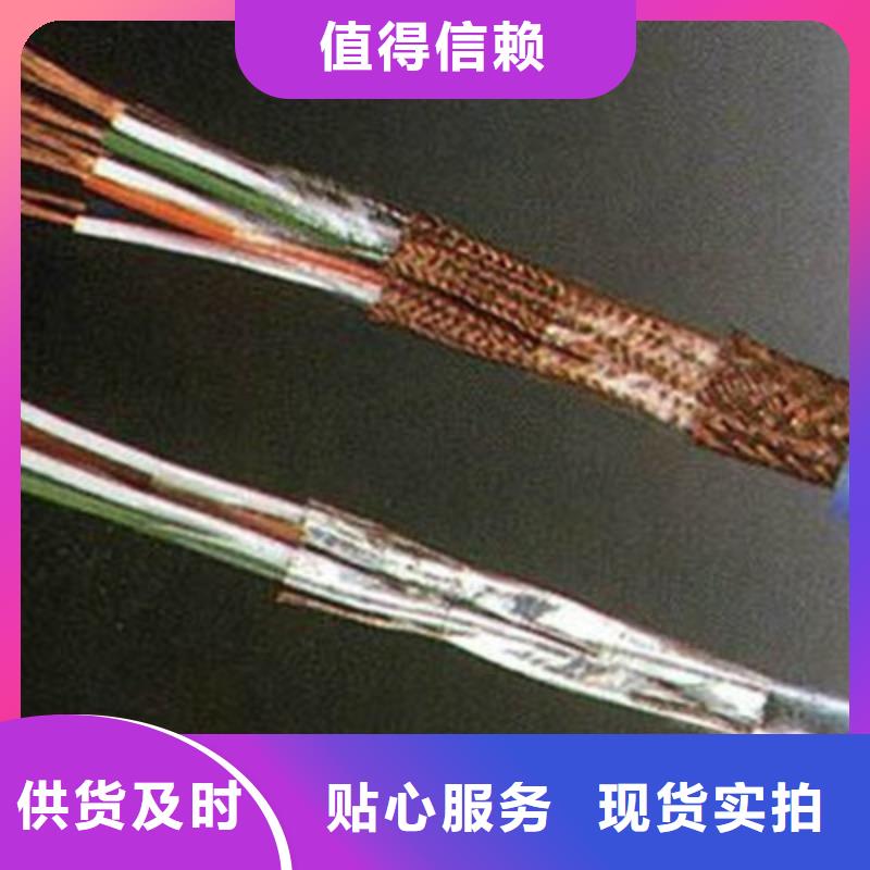 计算机电缆屏蔽电缆专业的生产厂家