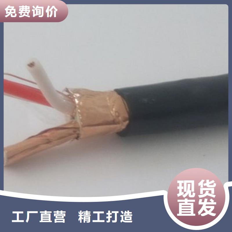 计算机屏蔽电缆DJVP3VP3R30X2X0.75