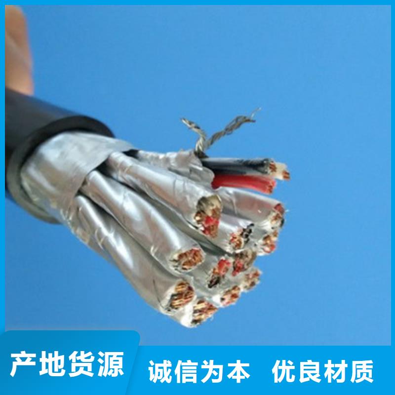 计算机屏蔽电缆DJVP3VP3R30X2X0.75