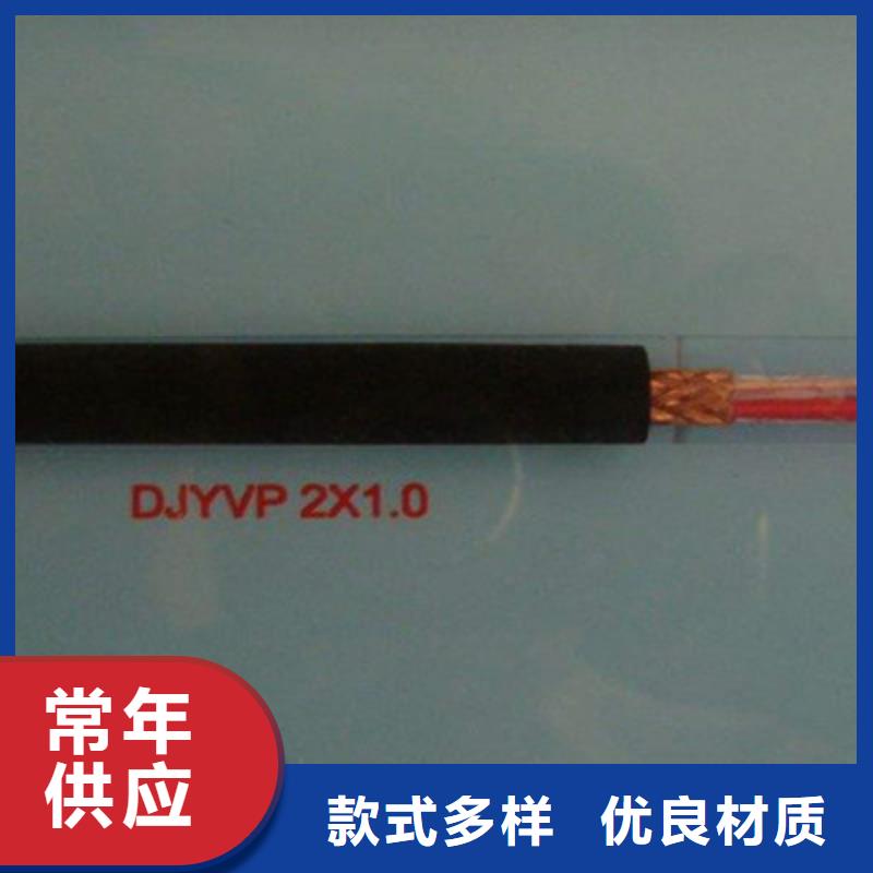 阻燃计算机电缆ZR-DJVPVP22来图定制