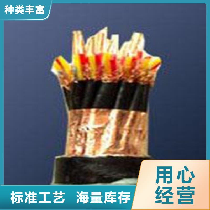 计算机电缆-【电力电缆】真材实料