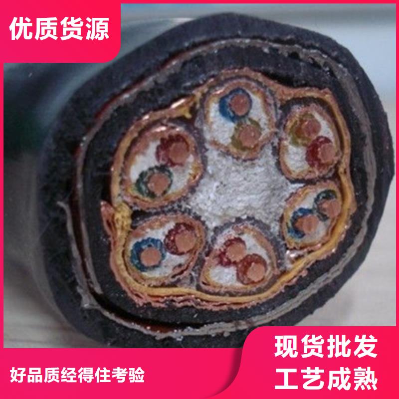 计算机屏蔽电缆DJYJP2V2R、计算机屏蔽电缆DJYJP2V2R厂家直销-质量保证