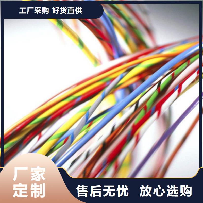 白沙县低烟无卤计算机电缆WDZ-DJYJP2V2210X2X1.0
