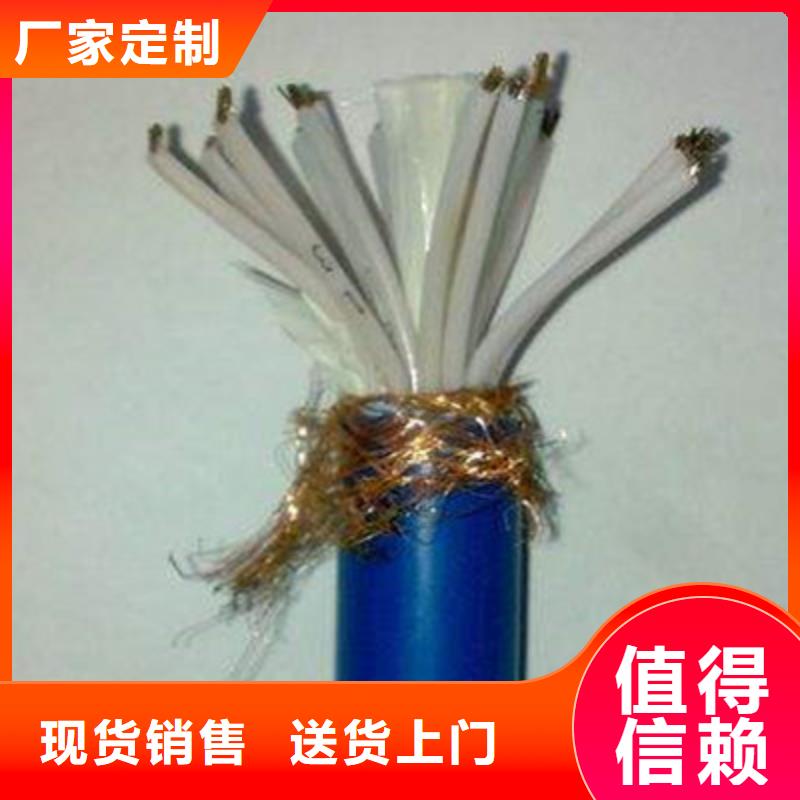 ZR-RYSPVP阻燃计算机电缆-点击咨询