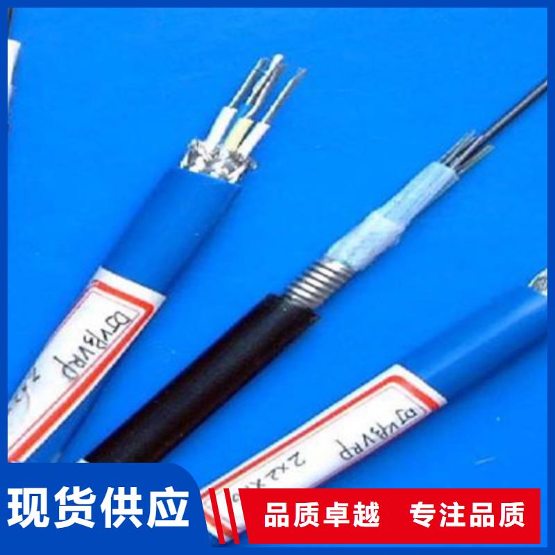 阻燃计算机电缆ZR-DJYJVP价格合理