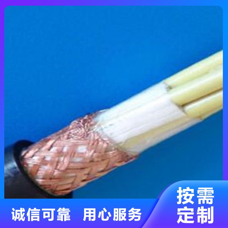 WDZ-DJYJP2V低烟无卤计算机电缆10X2X1.0
