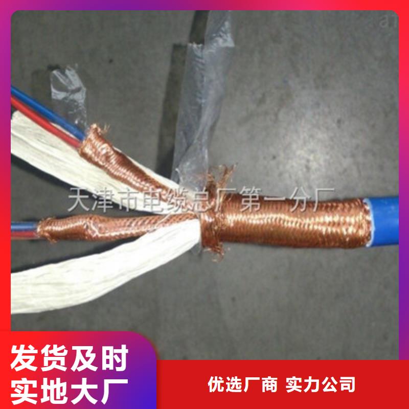白沙县低烟无卤计算机电缆WDZ-DJYJP2V2210X2X1.0